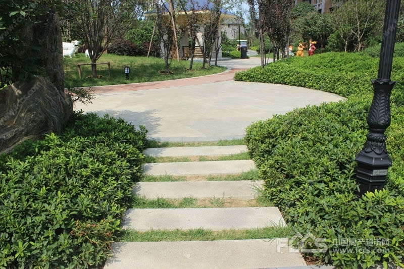 滕州中房缇香郡实景图 - 滕州房产超市网